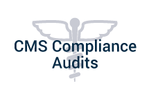 CMS Compliance Audits